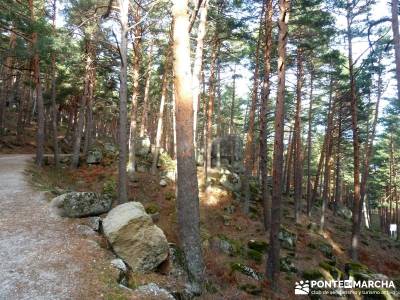 Sestil de Maillo - Mojonavalle; excursiones semana santa; senderismo viajes;viajes camino de santiag